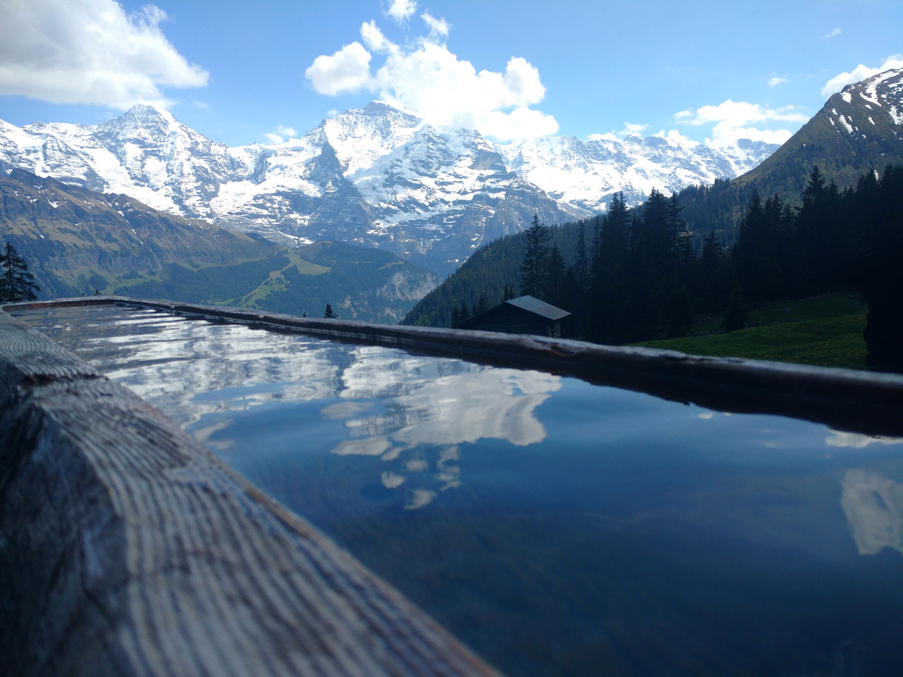 stunning views from Grindelwald hiking trails