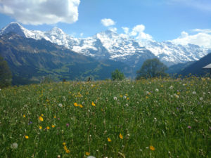 best hiking trails in Grindelwald