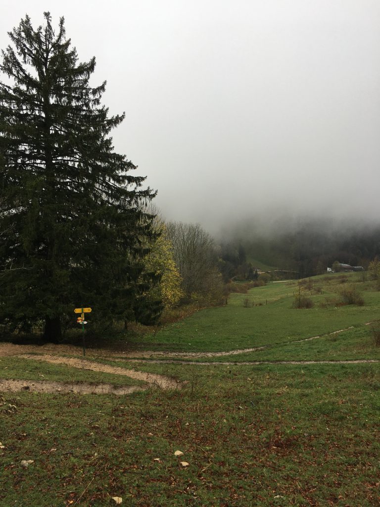 Nature Park Thal fog