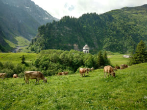 Hiking in Glarus