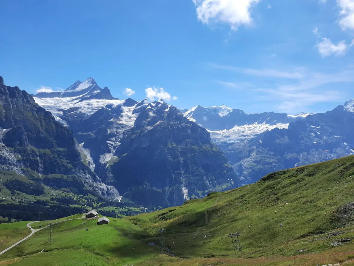 First, Grindelwald