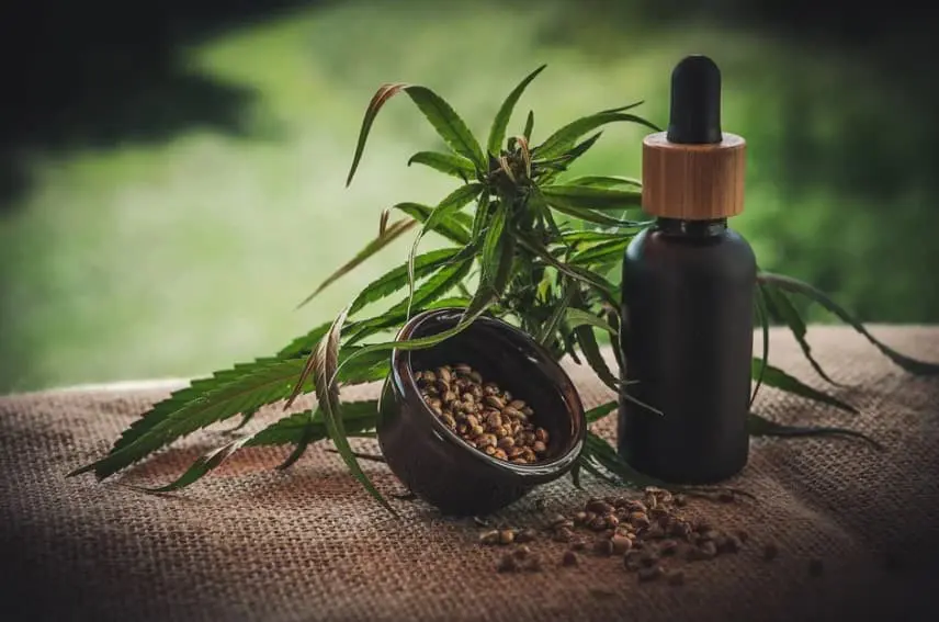 CBD oil