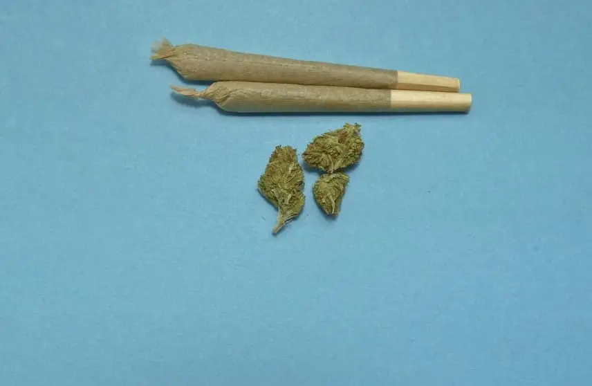 Recreational Cannabis