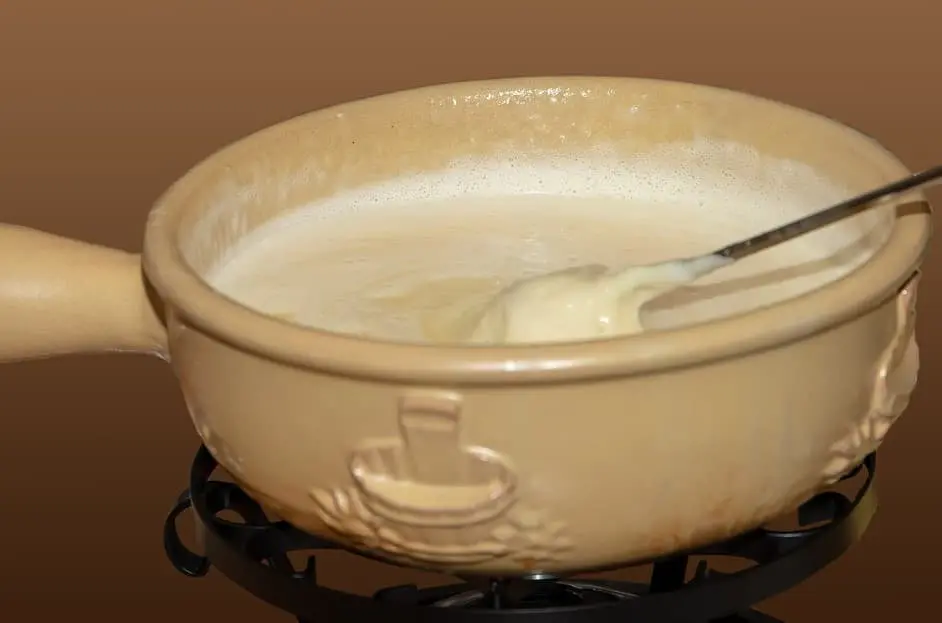 Swiss fondue