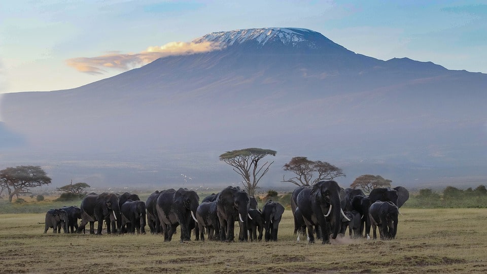 Nairobi to Kilimanjaro