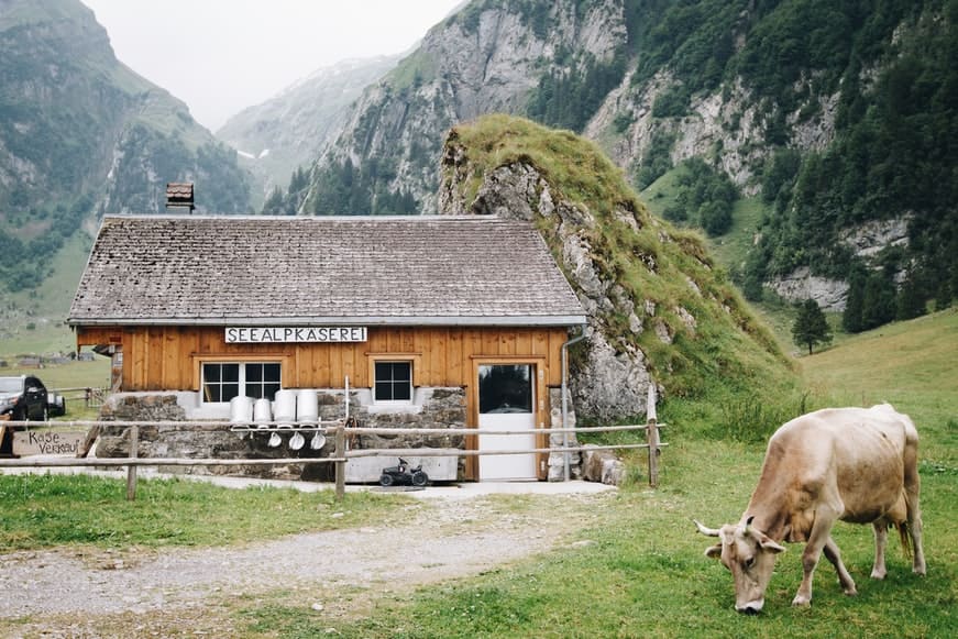 cheese factory in Switzerland
