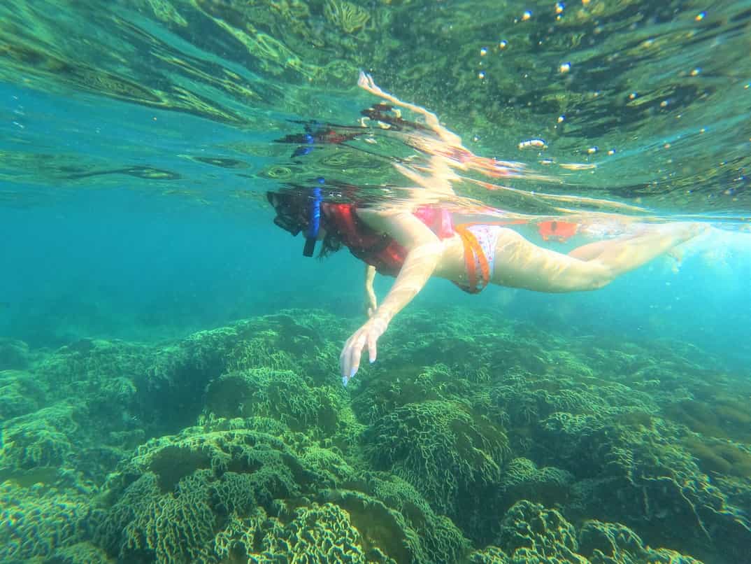 Snorkeling in St.Kitts