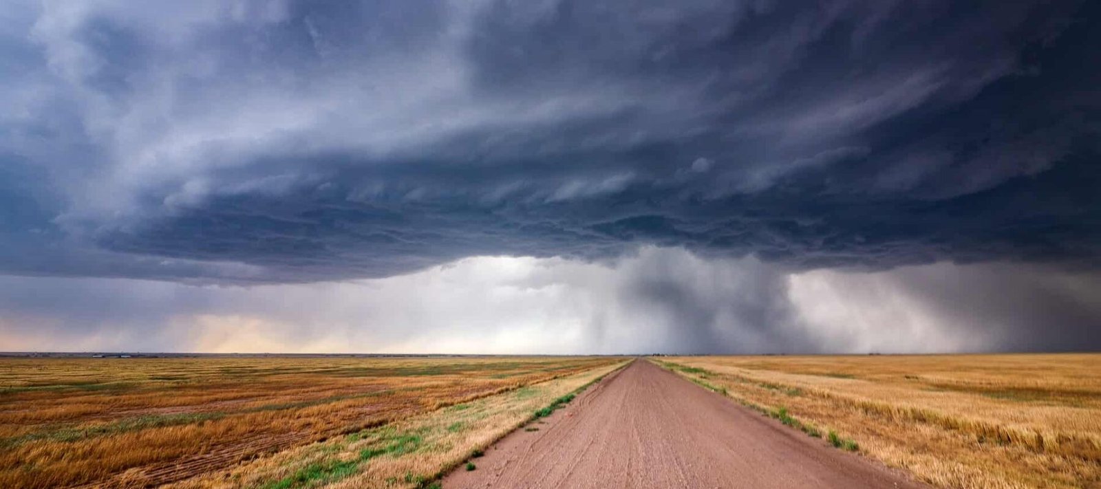 Dangerous Animals In Kansas Go Look Explore