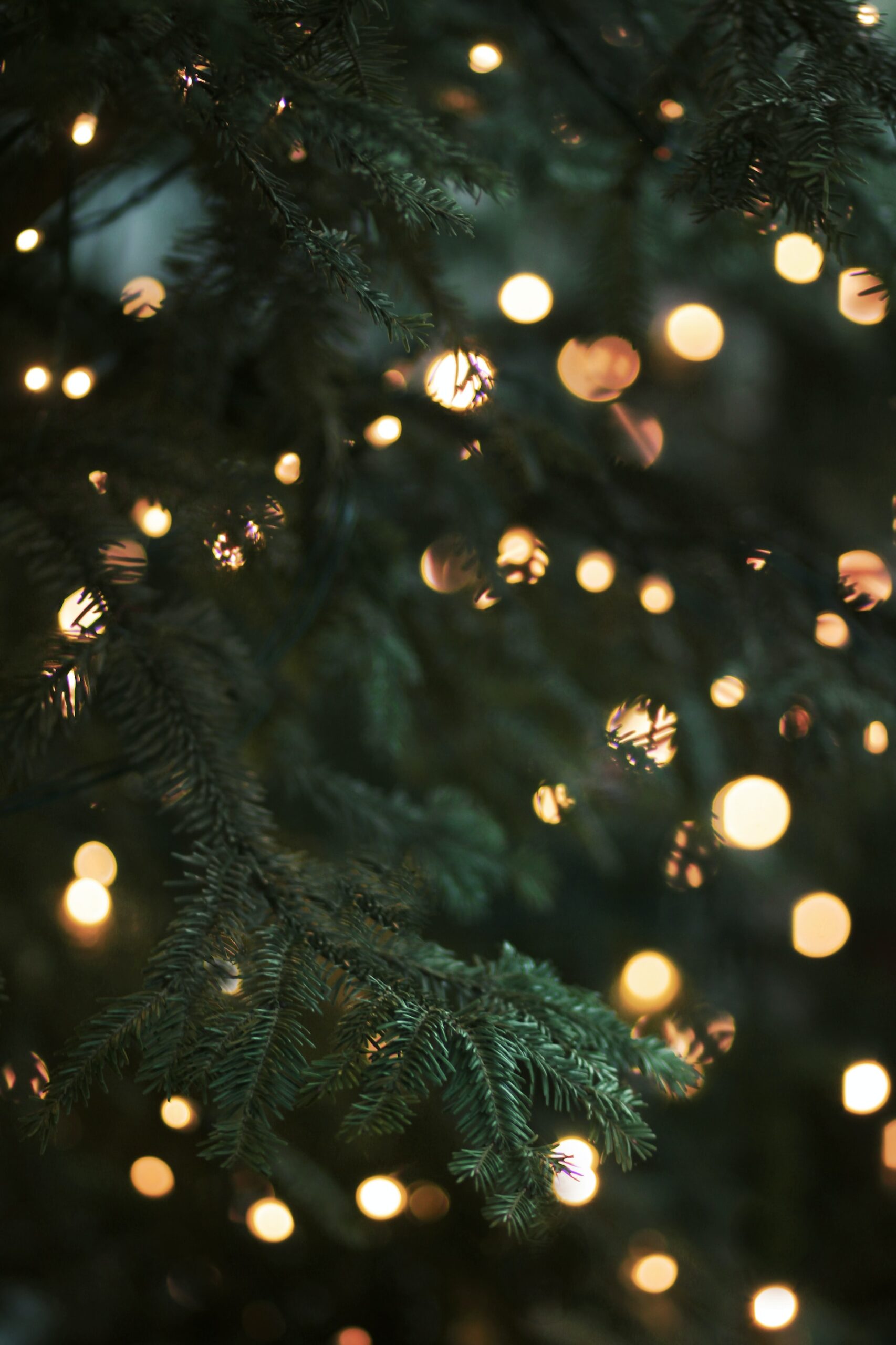 A Christmas tree is the symbol of the holiday in France.