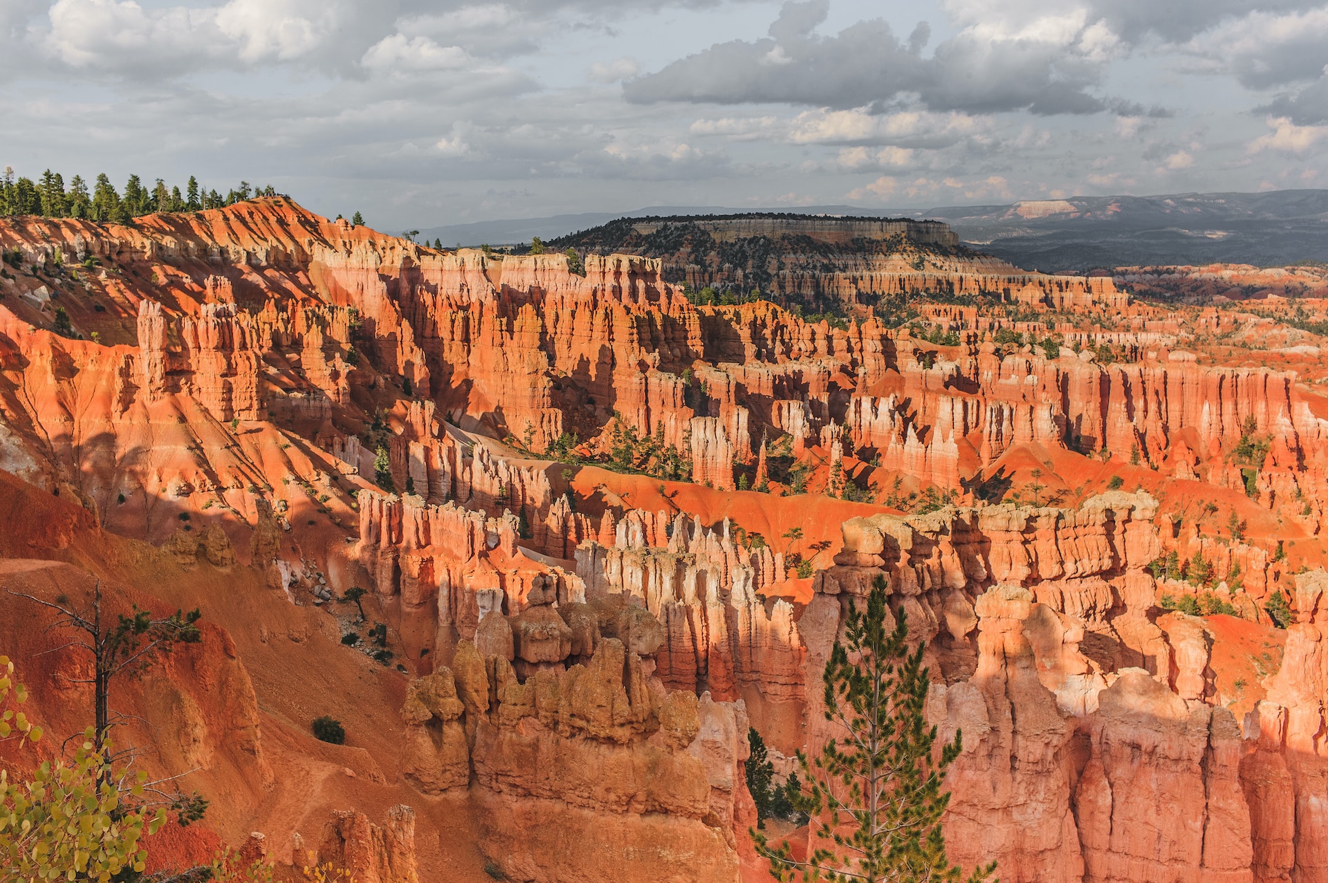 The hoodoos of the Bryce Canyon.