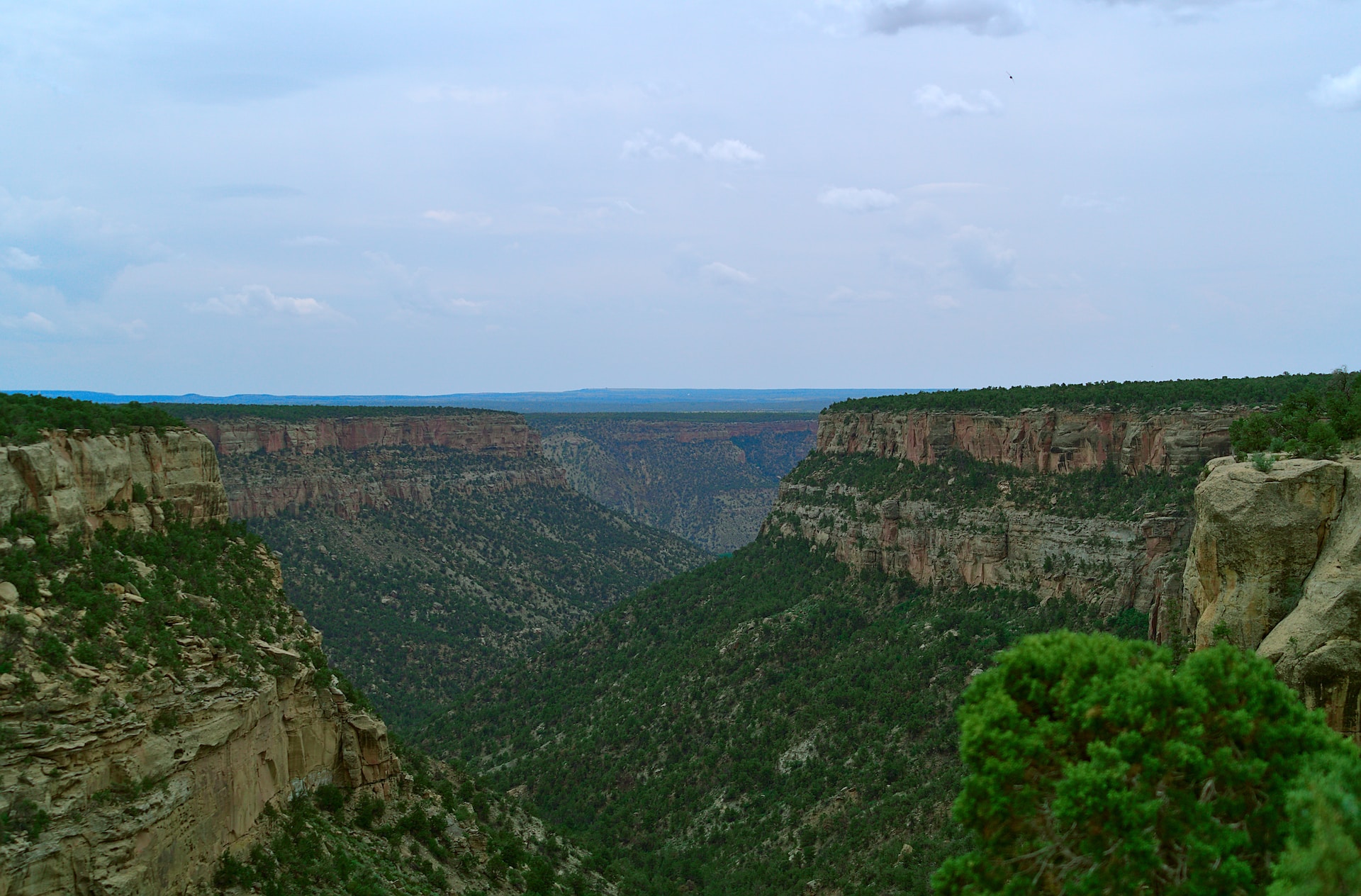 A dramatic canyon ambience in Mesa Verde National Park.