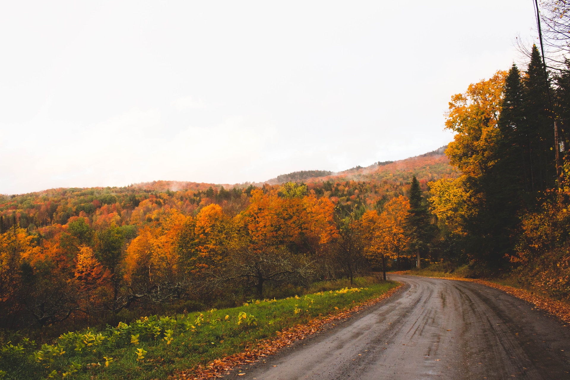 There are many scenic roads in Vermont.