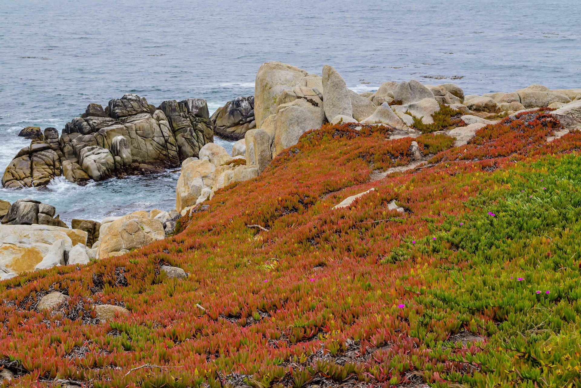 17-Mile Drive, rocks by the sea.