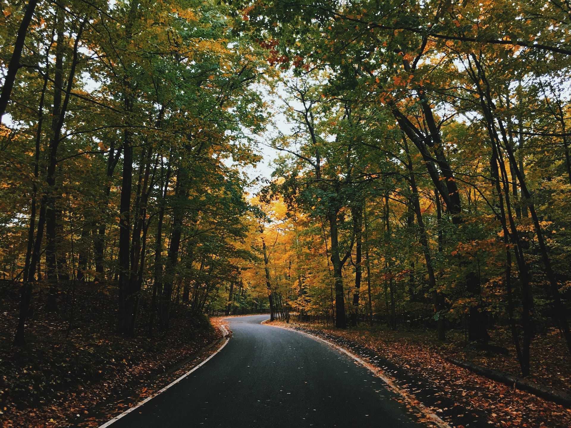 Road in autumn, Michigan