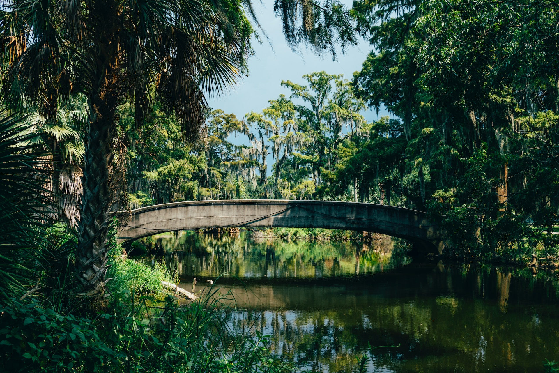 Tropical bridge in Louisiana.