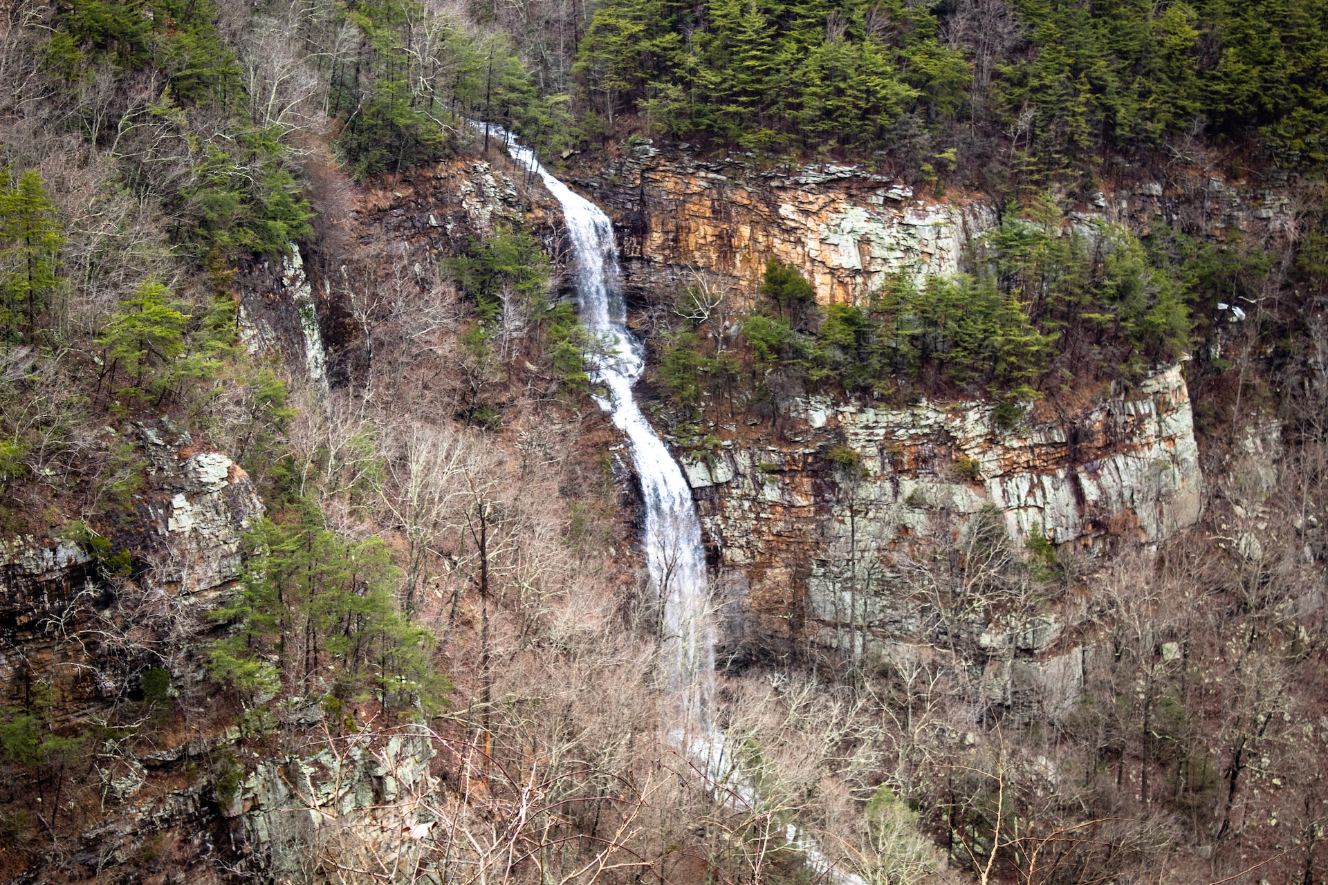 A waterfall in Cloudland Canyon.