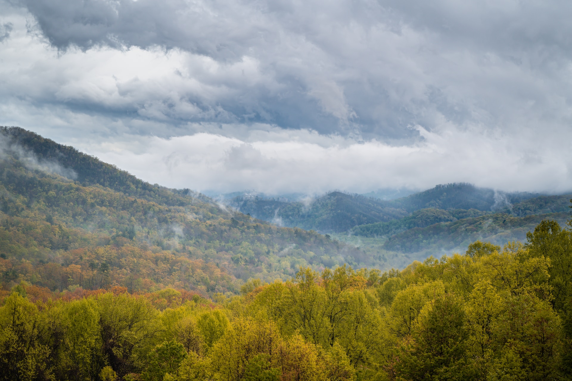 Cloudy vibes in Great Smoky Mountains.