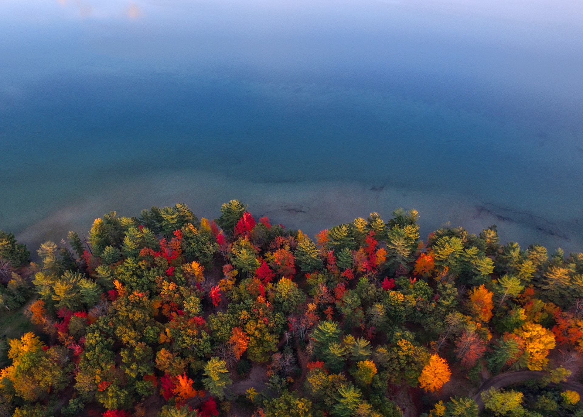 Fall colors in Michigan.