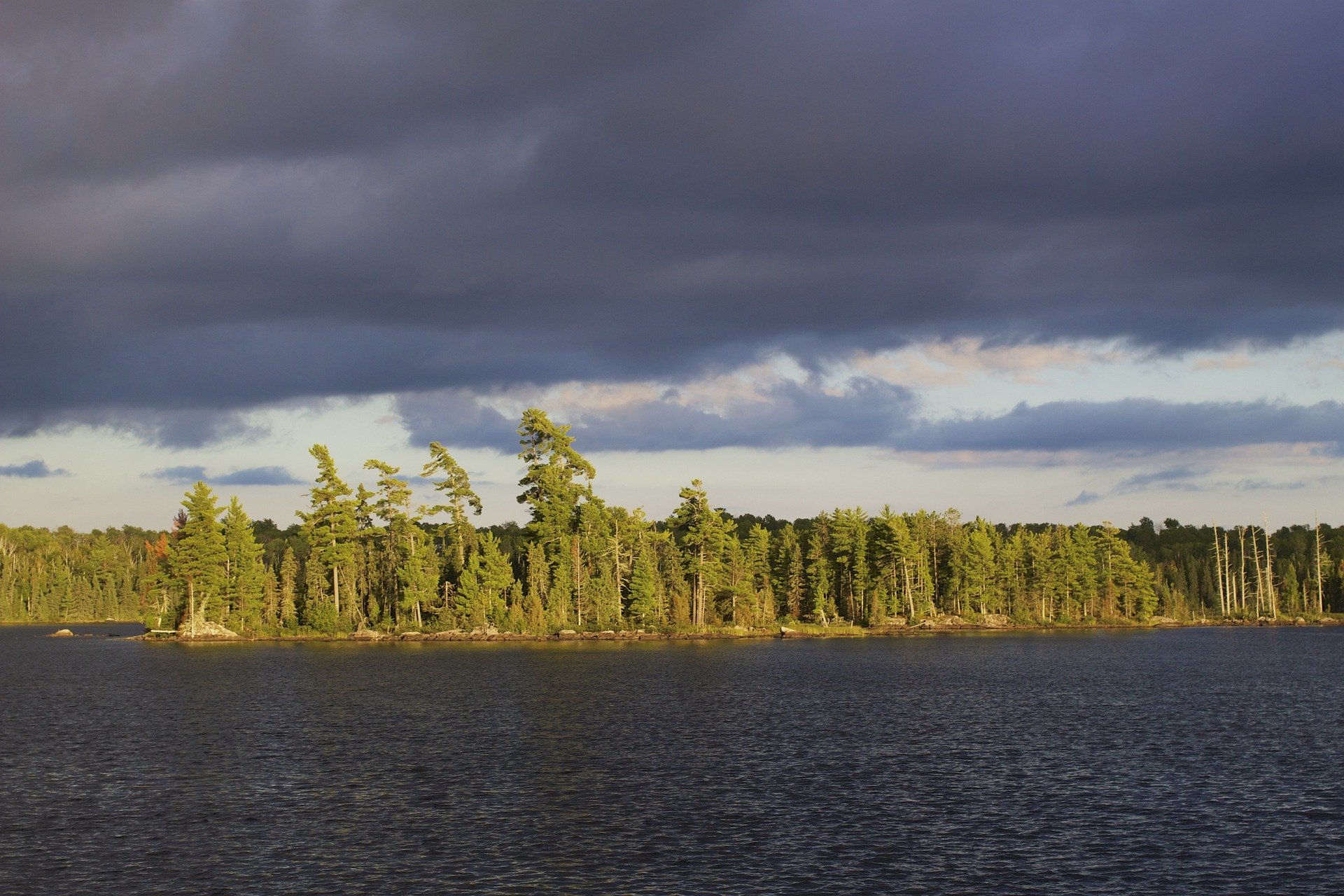 The woods in the Boundary Waters area.
