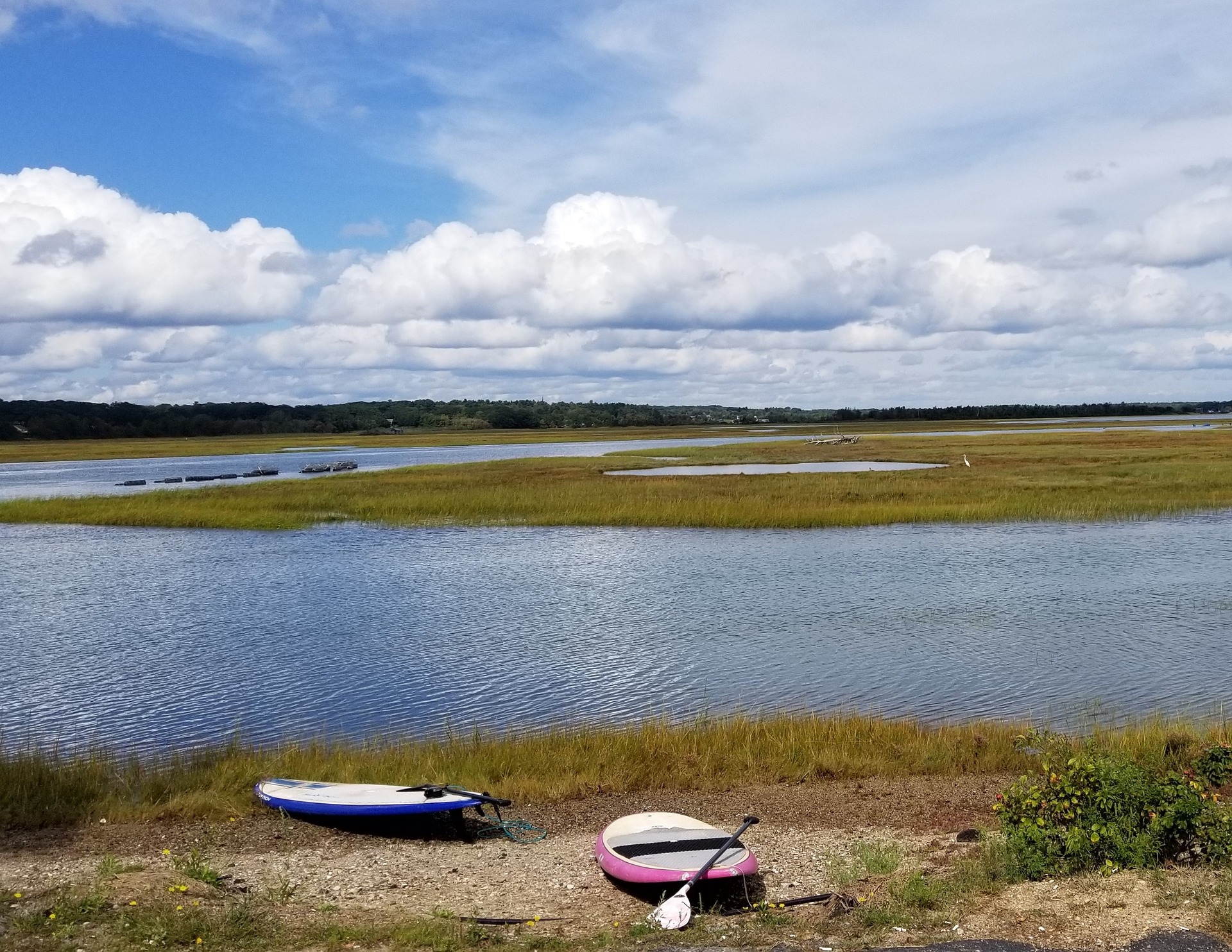 Kayaks on the coast in Maine.