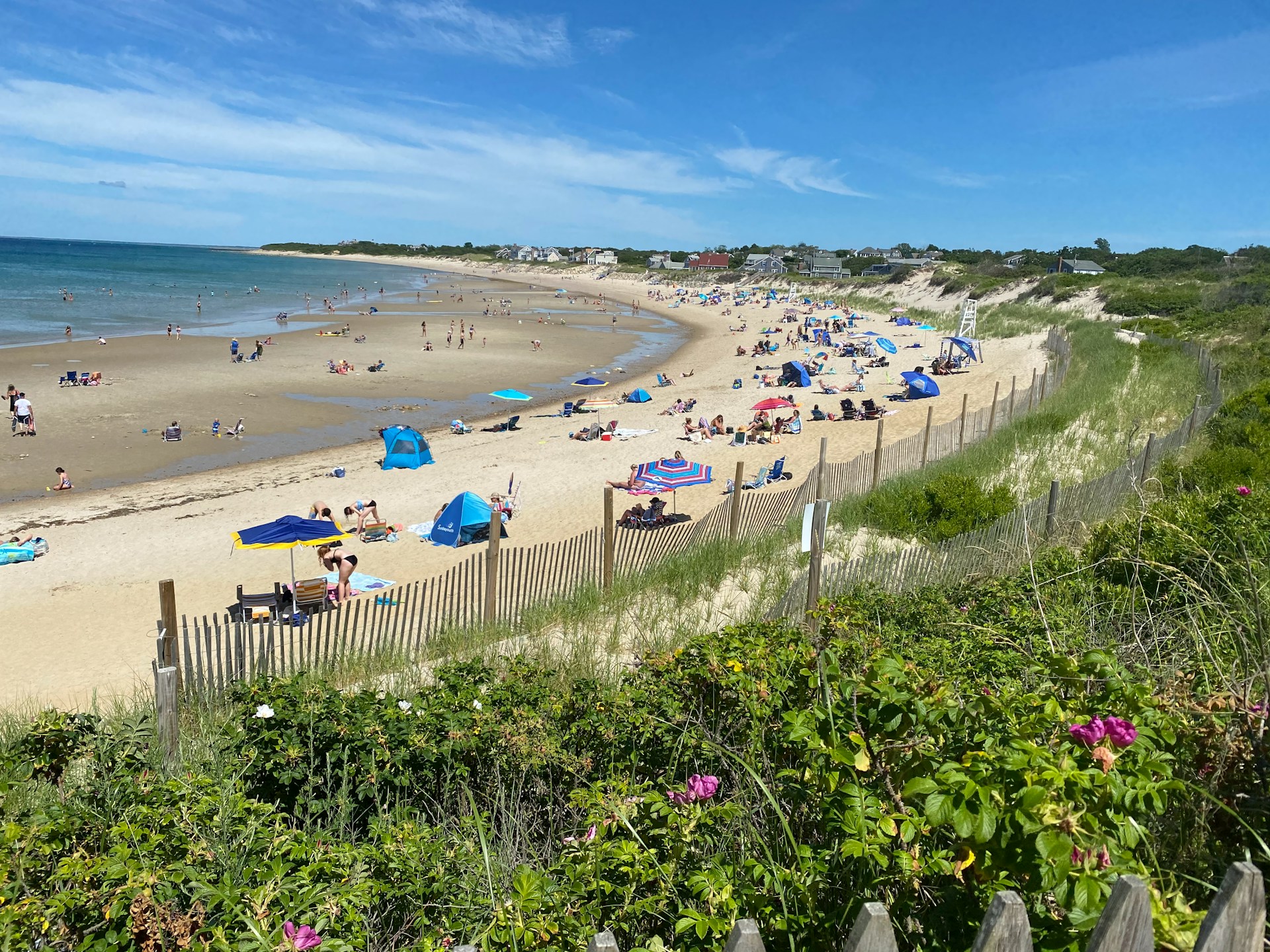 A beach on Cape Cod during the day