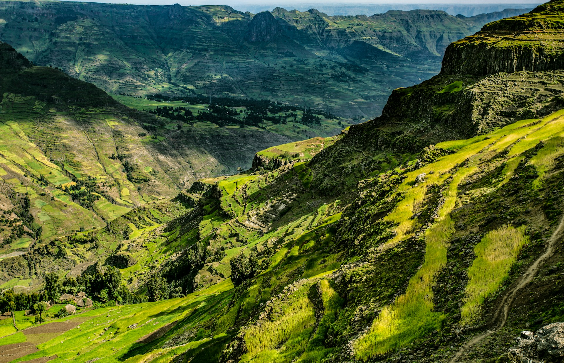 The Ethiopian highlands