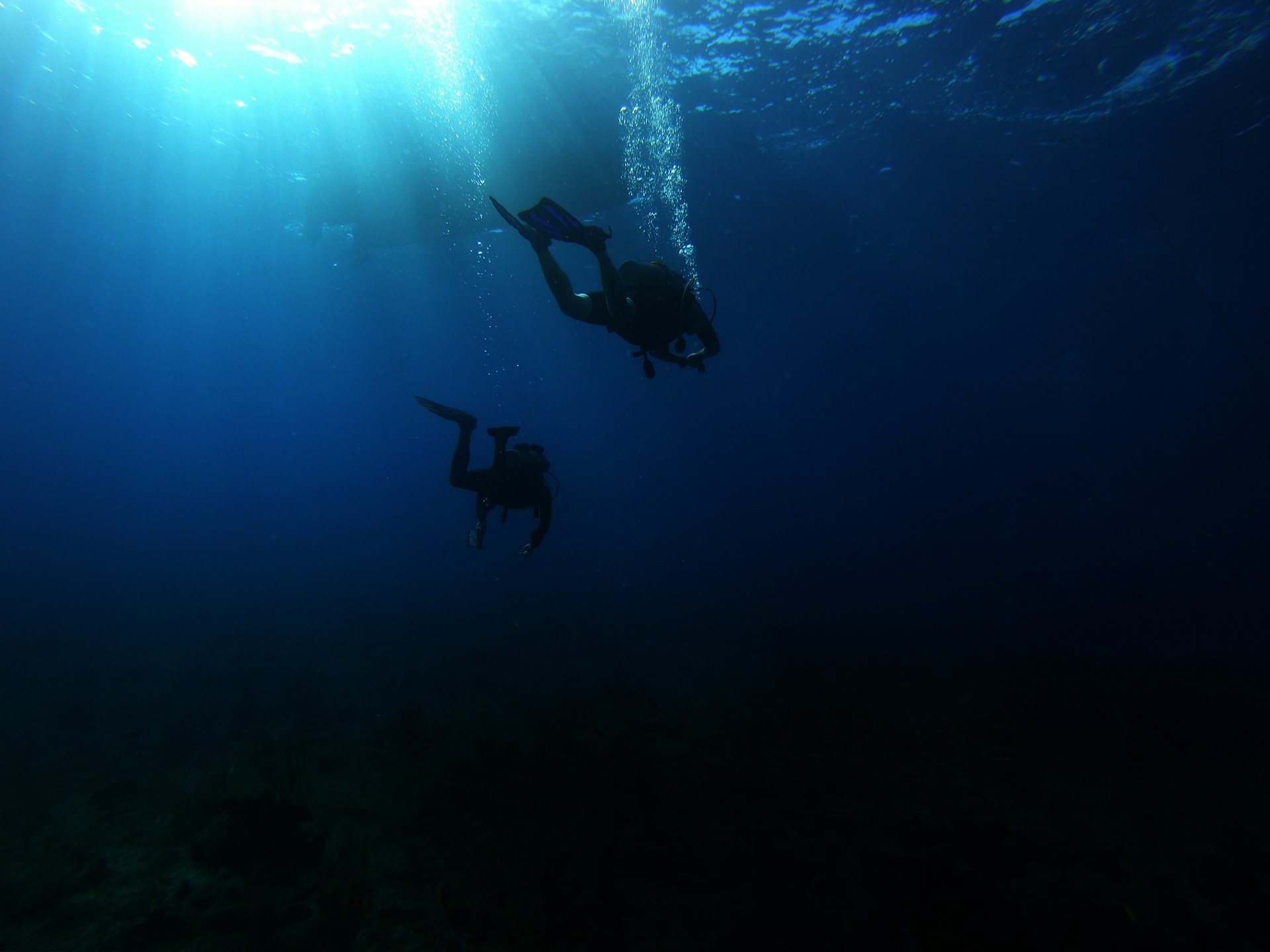 Diving underwater in Grand Cayman Island.