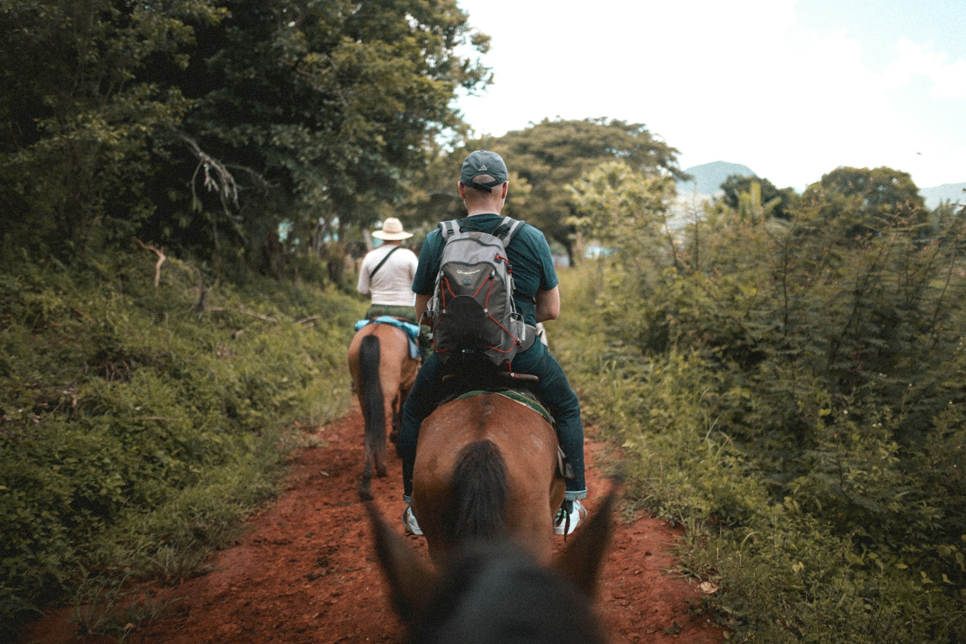 Horse riding in Cuba