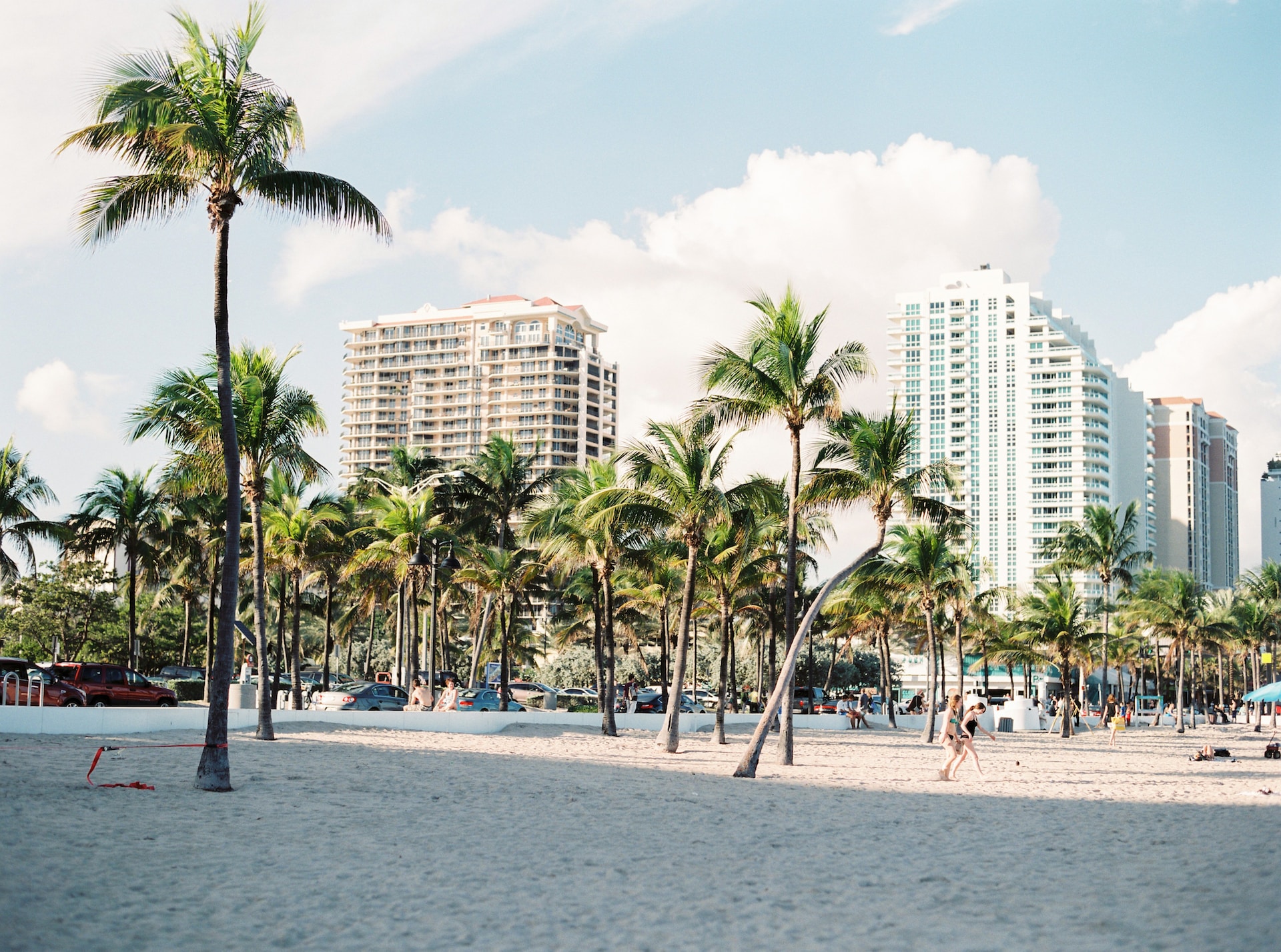 Palms in Miami Beach