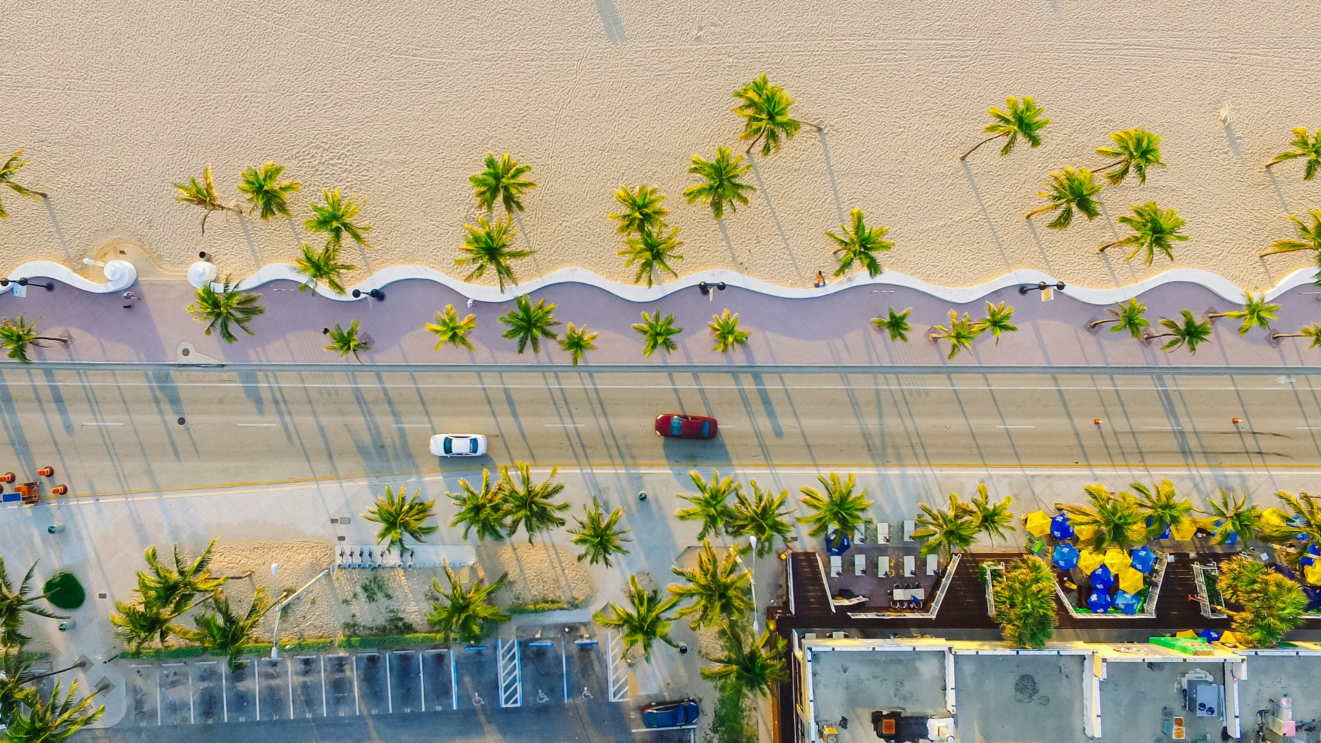 Palm-lined beach as seen from the air.