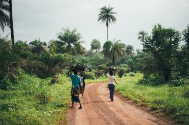 A jungle road in Sierra Leone