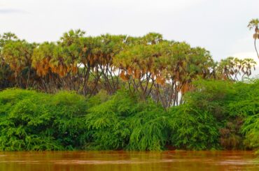 A river in Somalia