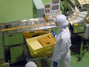 A worker in a Japanese chocolate factory.